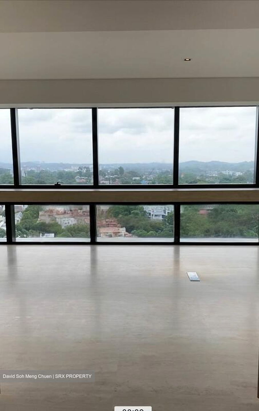 Hana (D10), Condominium #466391411